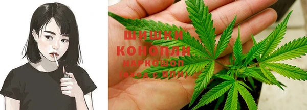 дживик Белокуриха