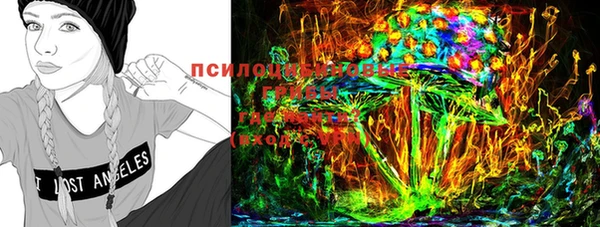 первитин Богородицк