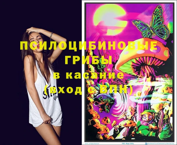 мескалин Богданович