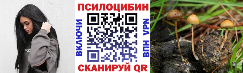 где купить наркоту Разумное Галлюциногенные грибы Psilocybine cubensis